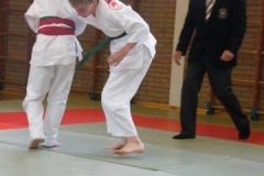 judo 007