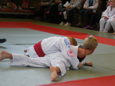 judo 002